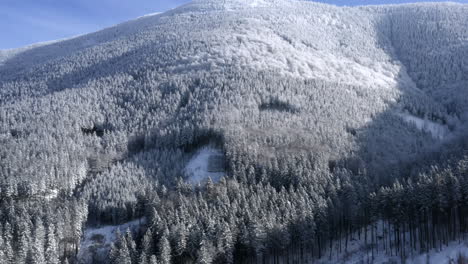 Schneebedeckte-Wälder-An-Einem-Breiten-Berghang-Im-Winter,-Tschechien,-Sonnig