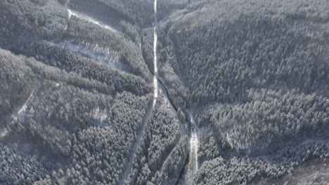 Aerial-Shot-Of-Forest-Valley-Covered-In-Snow,-Winter-Wonderland-Destination-Lit-By-Sun