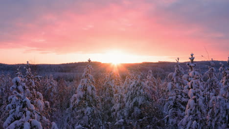 Beautiful-colorful-sunset-over-snowy-forest-filmed-from-slowly-ascending-drone