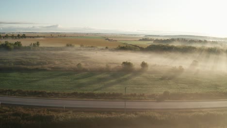 Golden-morning-light-shines-with-light-rays-cutting-through-low-fog-covering-green-farm-fields-beside-paved-highway