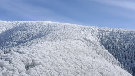 Snow-covered-treetops-on-a-mountain-crest-in-winter,Czechia