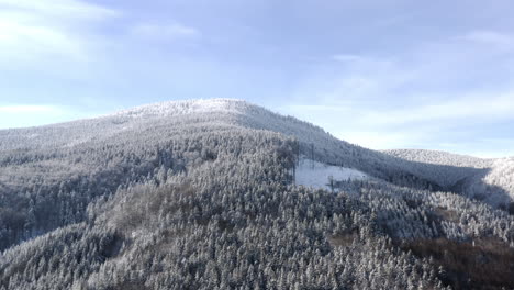 Riesiger-Nadelwald-An-Einem-Schneebedeckten-Berghang-Unterhalb-Des-Gipfels,-Winter