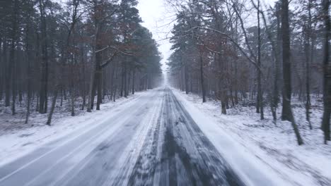 Schöne-Winterwaldlandschaft-Am-Straßenrand---Bewegte-Halbtotale