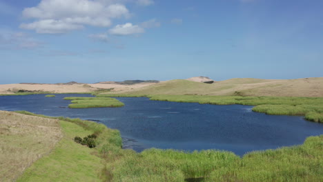 Vogelschwarm-Landet-Und-Schwimmt-Auf-Blauem-Wasser-Des-Schwanensees-Mit-Grünen-Hügeln-Im-Sommer-In-Northland,-Neuseeland