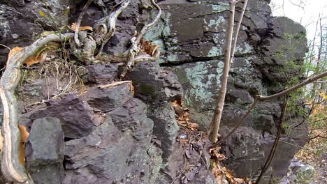 Steadicam-shot-moves-across-shale-outcrop-covered-with-roots-and-lichen