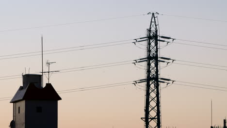 Bandada-De-Pájaros-Volando-A-Través-De-La-Línea-Eléctrica-Aérea-En-La-Torre-De-Transmisión-Al-Atardecer-En-Tokio,-Japón