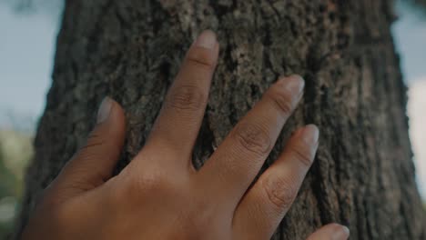 Hand-Of-A-Black-Woman-Touching-A-Tree-Trunk---Macro,-tilt-down-shot