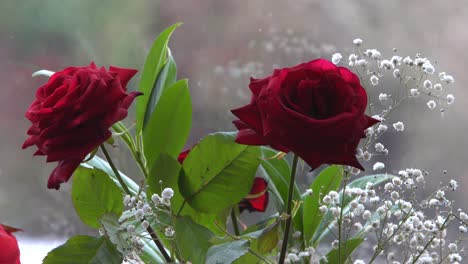 Romantische-Rote-Rosen-In-Der-Nähe-Des-Fensters-Während-Des-Winterschneefalls