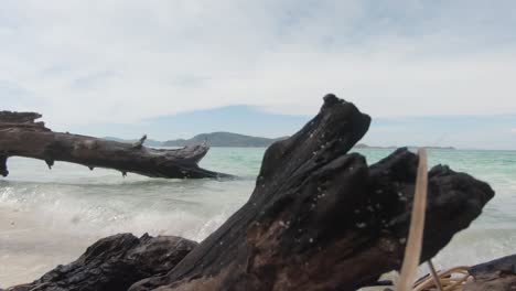 Marooned-exotic-tree-stump-piercing-the-Koh-Hey-shoreline-along-with-accumulated-driftwood,-Thailand---Wide-slow-motion-gimbal-pan-shot