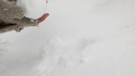 Close-up-of-person-with-gloves-without-finger-protection-forming-snowball-of-deep-snow-in-nature