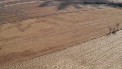 Shadows-of-trees-on-brown-farm-fields-in-spring