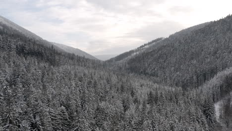 Bosque-De-Coníferas-En-Un-Valle-Montañoso-En-La-Nieve-Del-Invierno,-Chequia