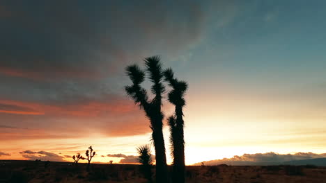 Silhouettes-of-Joshua-trees-on-the-horizon-of-the-Mojave-Desert-during-a-brilliant-sunset---time-lapse
