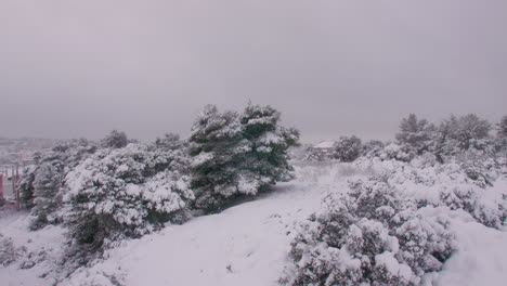 Wintry-snowing-white-covered-hillside-trees-in-Athens-during-Medea-snowstorm