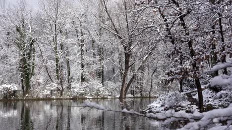 Quiet-icy-lake-with-calm-water-reflecting-forest-trees-covered-in-white-snow