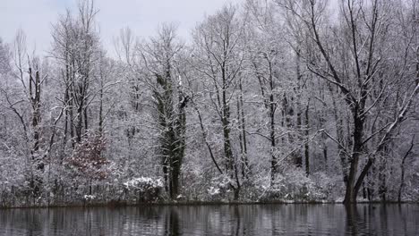 Beautiful-winter-landscape-with-calm-lake-water-reflecting-trees-covered-in-white-snow