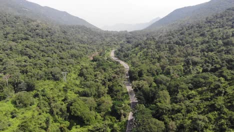 Aerial-view-of-a-green-forest-road-in-a-naturally-fresh-and-relaxing-environment,-conservation-concept,-wide-shot