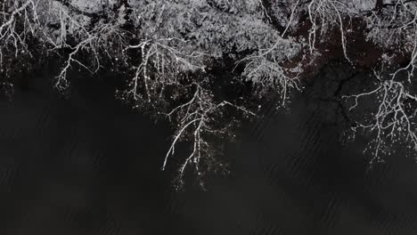 Weißer-Schnee,-Der-Bäume-Und-Land-Am-Seeufer-Mit-Kaltem-Wasser-Im-Winter-Bedeckt