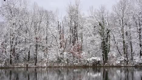 Winter-landscape-with-calm-cold-water-lake-reflecting-leafless-trees-covered-in-snow