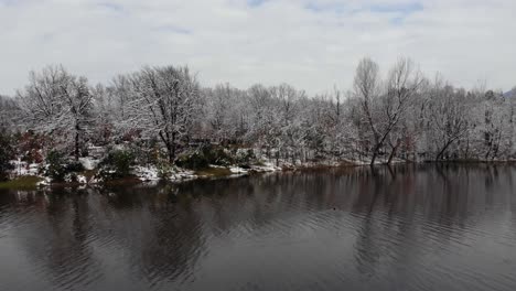 Shore-of-park-lake-with-trees-covered-in-snow-reflecting-on-calm-water-in-winter