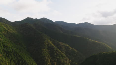 Majestuosas-Cadenas-Montañosas-Cubiertas-De-Frondosos-árboles-Y-Vegetación-En-Una-Mañana-Nublada-En-Okutama,-Japón