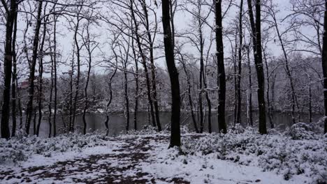 Walking-through-park-trees-covered-in-white-snow-with-cold-gray-lake-background