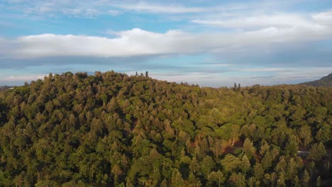 Luftaufnahme-über-Einen-Grünen-Wald-Auf-Einem-Hügel-An-Einem-Schönen-Sonnigen-Tag-Mit-Blauem-Himmel,-Naturschutzkonzept