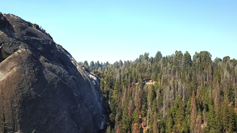 Vorwärtsantenne-Von-Berg--Und-Nadelwald-Im-Sequoia-Nationalpark