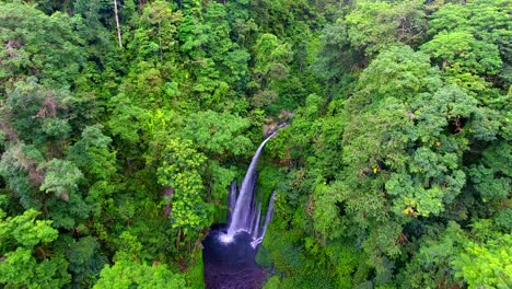 Aerial-view-of-Tiu-Kelep-waterfall,-jungles-of-Lombok---tilt-down,-drone-shot