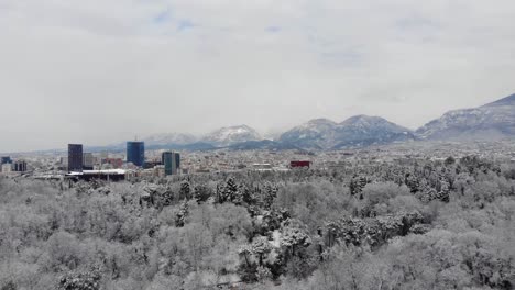 City-buildings-surrounded-by-forest-park-covered-in-white-snow-in-Tirana,-Albania