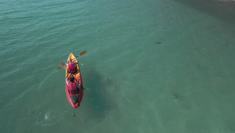 birds-eye-view-of-two-men-kayaking-on-tropical-waters