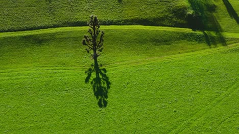 Aerial-Pan-Up-Green-Rolling-Hillside-Against-Mountain-Landscape-In-Zell,-Austria