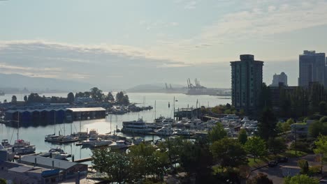Stunning-Dynamic-Drone-Near-Miss-Drone-Aerial-Shot-Over-the-Vancouver-Marina,-Moving-Closer-to-the-Trees---Canada