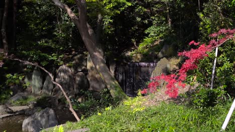 Dolly-In-Richtung-Wasserfall-Im-Garten-Durch-Schöne-Rote-Herbstfarbe