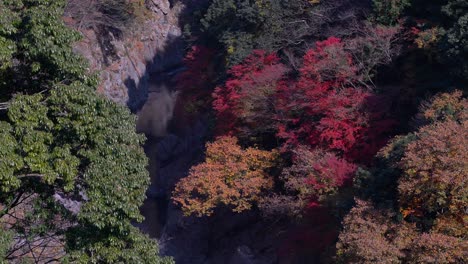Abgesperrter-Blick-Auf-Die-Schlucht-Mit-Fluss-Und-Wunderschönem,-Lebhaftem-Herbstlaub