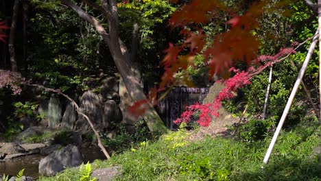 Langsamer-Dolly-In-Richtung-Eines-Wunderschönen-Wasserfalls-Durch-Helle-Herbstfarben