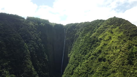 Antena-Delantera-De-Cascada-Y-Naturaleza-Verde-En-El-Valle-De-Waipio,-Hawaii