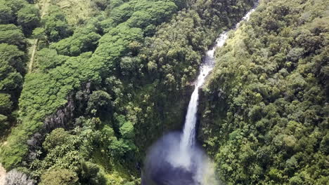 Aerial-view-over-Akaka-Falls-State-Park,-Hawaii-Big-Island