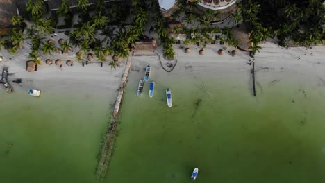 Bird’s-eye-view-ascending-shot,-pump-boats-on-the-shoreline-of-Isla-Holbox,-Mexico,-Scenic-view-of-green-water,-palm-tree-and-houses-in-the-background