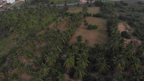 Lush-green-coconut-fields-reveal-a-highway-in-front-of-a-rocky-mountain-in-a-rural-part-of-India-where-cars-and-bike-passing-on-the-highway