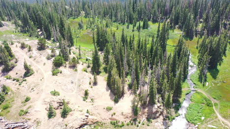 Aerial-Drone-Descends-into-Open-Patch-of-Pine-Tree-Forest-with-Flowing-Creek-in-Nederland-Colorado-during-Summer-in-the-Rocky-Mountains