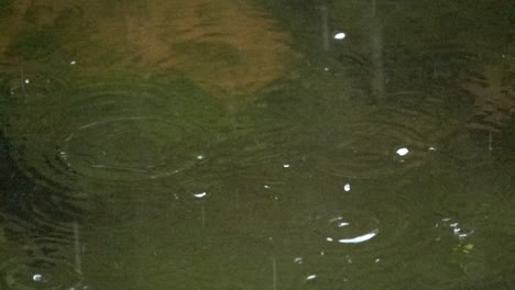Rain-drops-hit-the-surface-of-a-pond,-creating-rebound-droplets-in-slow-motion