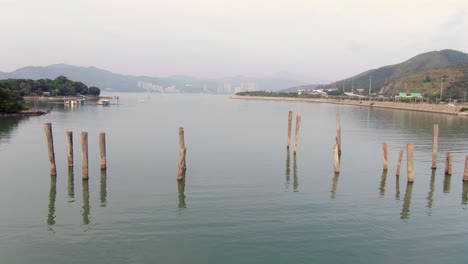 Hong-Kong-hidden-bay-in-Lantau-island-with-old-Tree-trunks-sticking-out-of-the-water,-Aerial-view