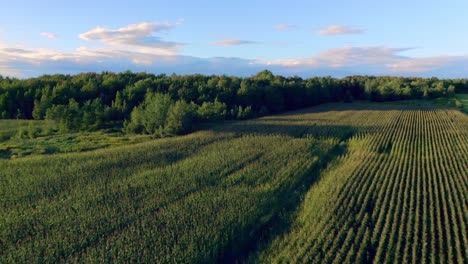 Aerial-shot-flying-around-a-beautiful-agricultural-land