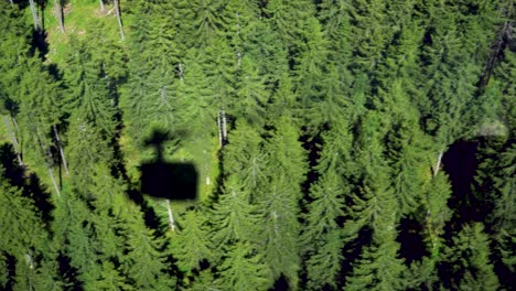 Sombra-Del-Teleférico-Sobre-El-Bosque-De-Coníferas-Verdes-En-Un-Día-Soleado-En-Austria