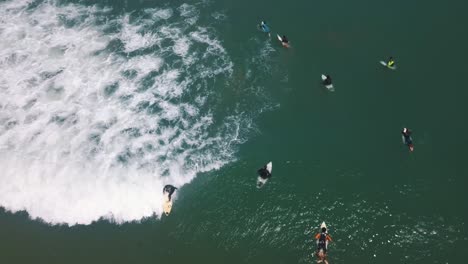 Pro-Surfer-catching-a-long-wave-in-Peru,-South-America---Drone-Aerial-view