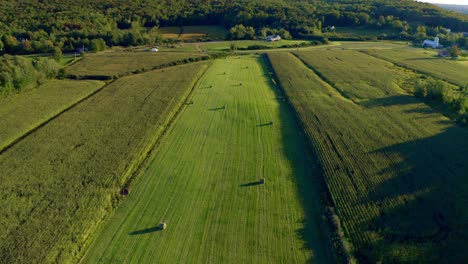 High-aerial-shot-of-a-crop-field-at-sunset-with-wheat-bales-creating-shadows