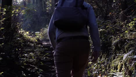Male-hiker-walking-up-stones-inside-sun-flooded-forest---tilt-up-shot