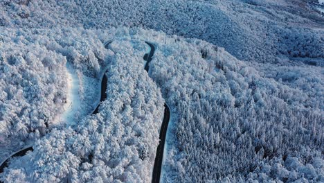 Atemberaubende-Drohnenaufnahmen-Von-Einem-Bergpass-In-Einem-Schneebedeckten-Wald