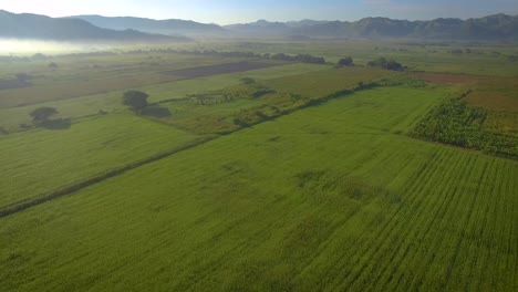 Aerial-view-of-a-beautiful-green-field-during-the-sunrise-with-mist